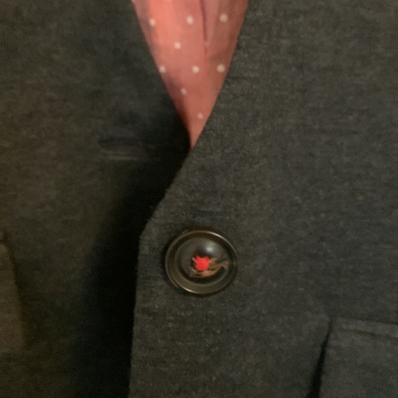 Anthropologie Gray Blazer Size Small EUC - Picture 4 of 6